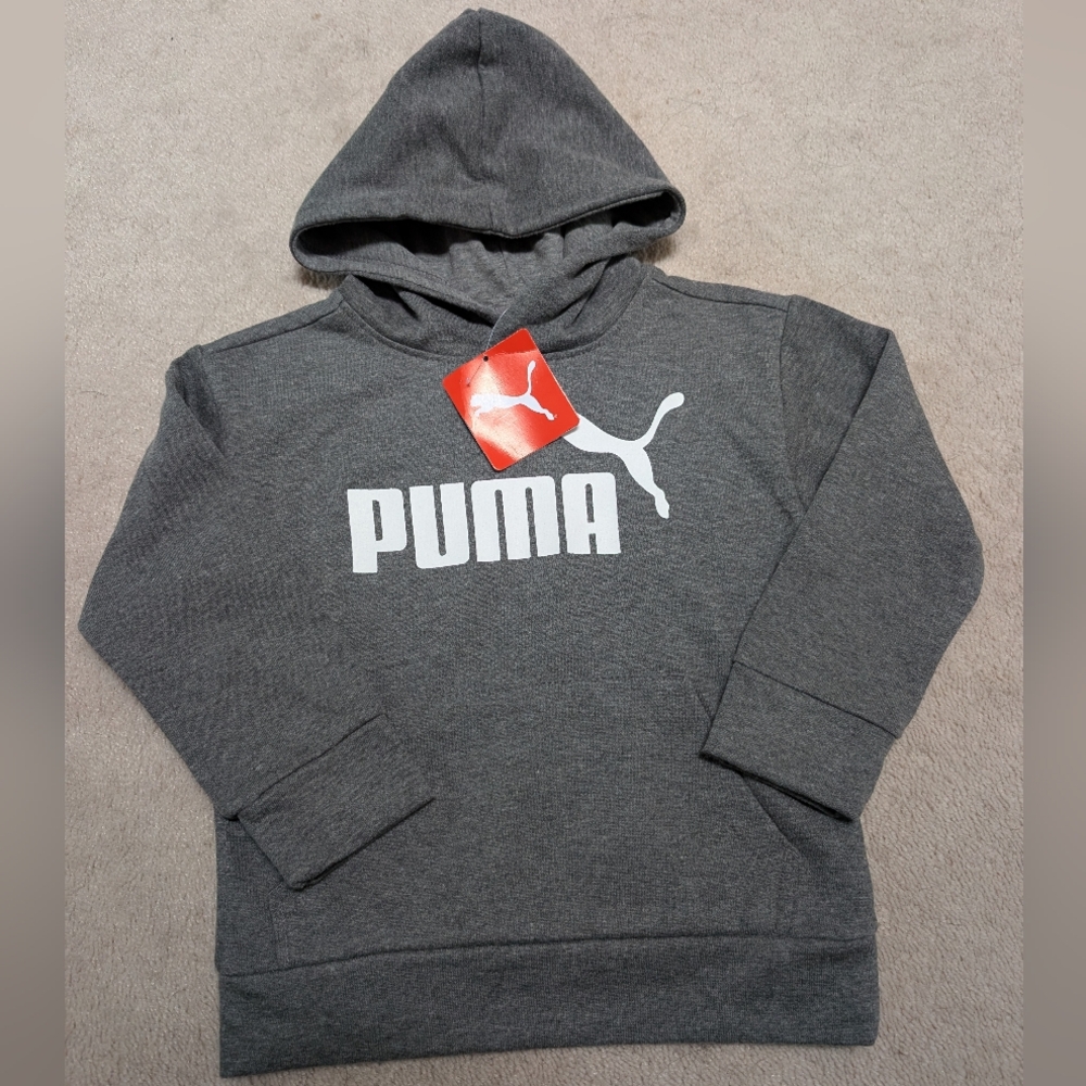 Puma Gray Hoodie